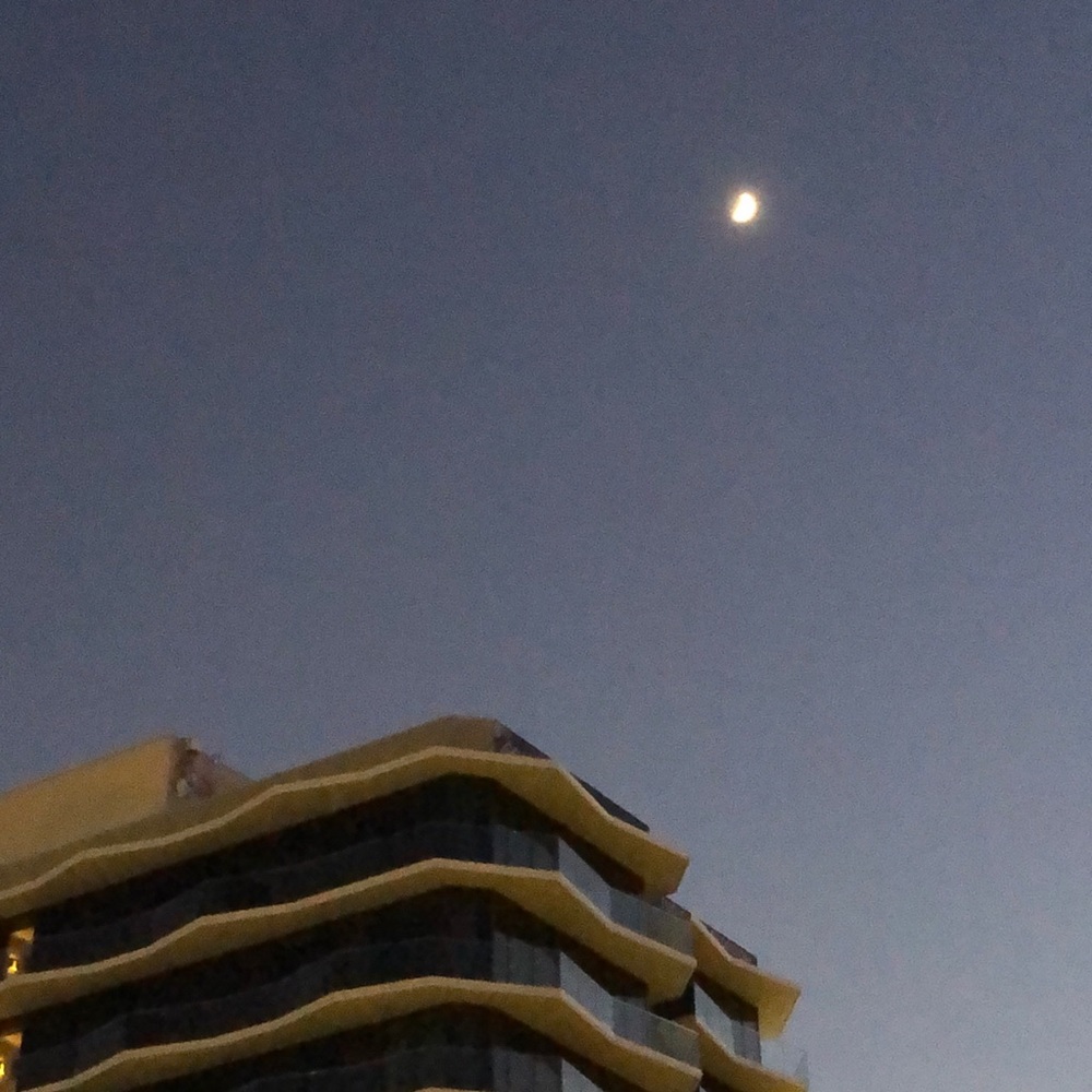 Meet your Posher, Ashleigh